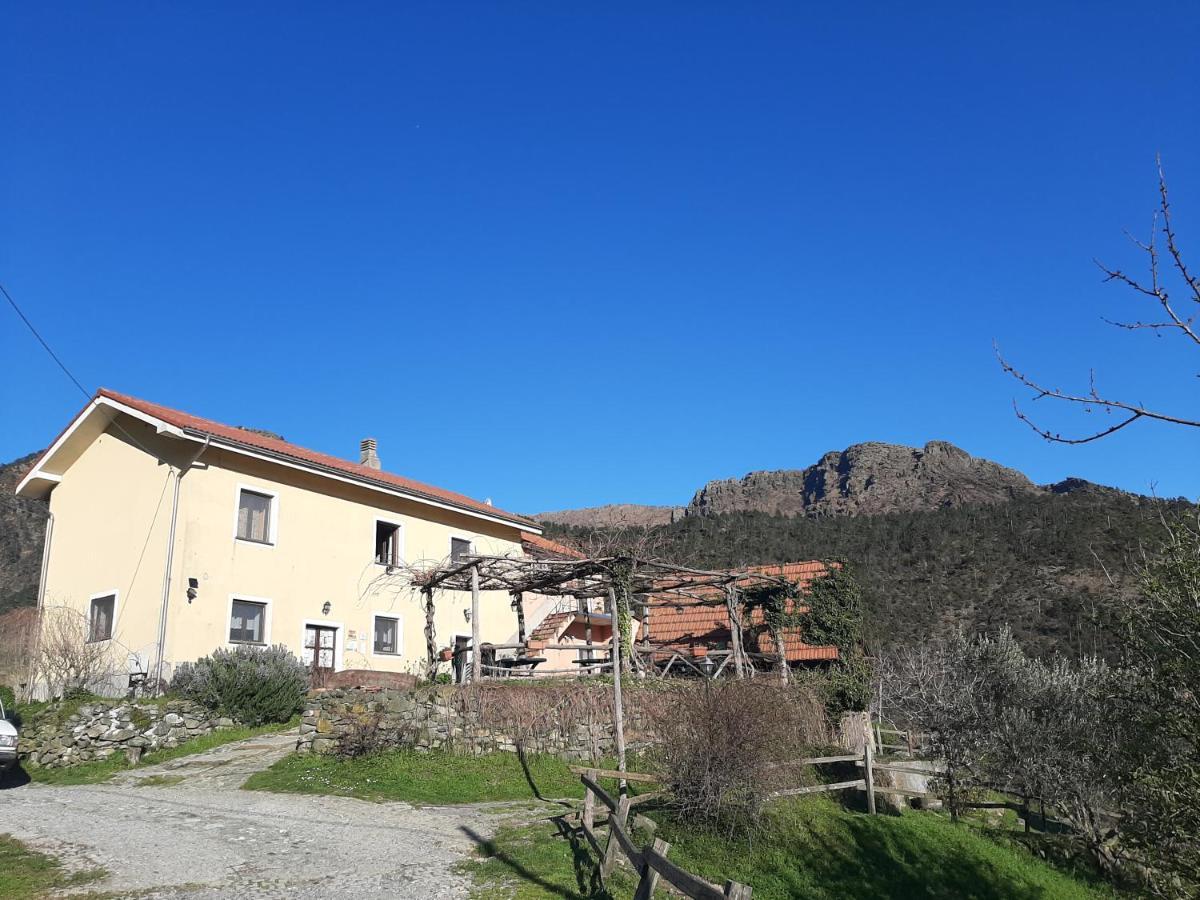 Willa Agriturismo Grilla Mele Zewnętrze zdjęcie