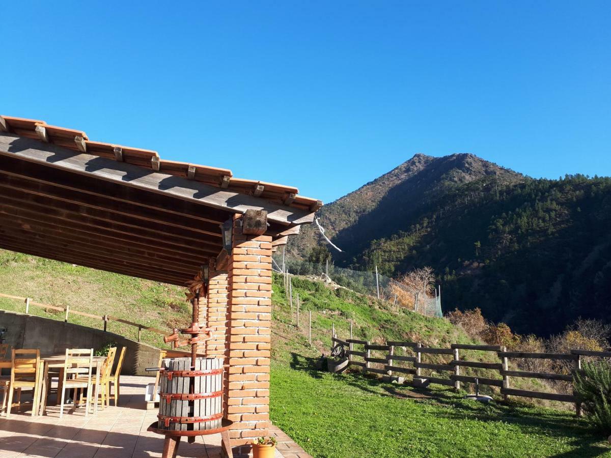 Willa Agriturismo Grilla Mele Zewnętrze zdjęcie