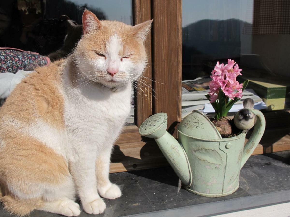 Willa Agriturismo Grilla Mele Pokój zdjęcie