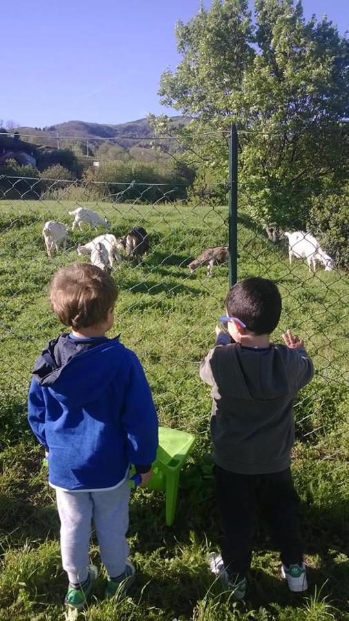 Willa Agriturismo Grilla Mele Pokój zdjęcie